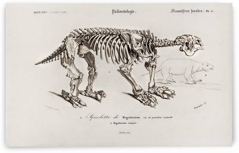 Megatherium by IStockHistory com