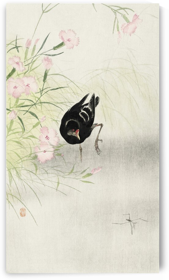 Moorhen at flowering plant 1900 - 1936 by Ohara Koson 1877-1945. by IStockHistory com