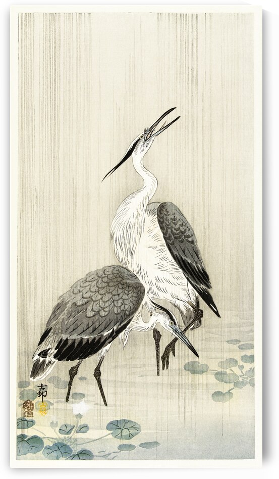 Two herons in the rain 1900 - 1910 by Ohara Koson 1877-1945. by IStockHistory com