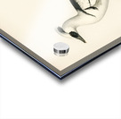 Mergellus albellus Acrylic print