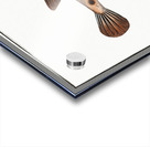 Spenglers Tetrodon Tetrodon Spengleri Acrylic print