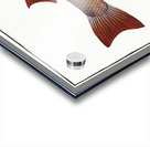 Tang Mugil Tang Acrylic print