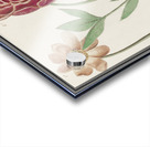 Peony in vintage style Acrylic print