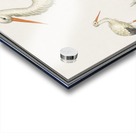 Stork in vintage style Acrylic print