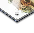 Tawny Weasel Putorius fuscus  Acrylic print