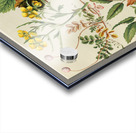 Sarah Featon 007 Acrylic print