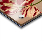 Album van Eeden : Haarlems flora : 1872-1881 Acrylic print