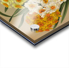 Album van Eeden : Haarlems flora : 1872-1881 Acrylic print