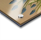 Album van Eeden : Haarlems flora : 1872-1881 Acrylic print