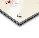 Pachypodium Succulentum Acrylic print