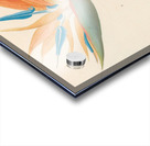 Strelitzia Reginae 1817 Acrylic print