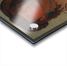 Ha-wón-je-tah One Horn Head Chief of the Miniconjou Tribe Acrylic print