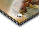 Pah-Mee-Ców-Ee-Tah Man Who Tracks a Chief 1830 Acrylic print