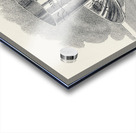 Mary Orvis Marbury 006 Acrylic print