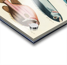 Colourful and surreal illustrations of fishes found in Moluccas Indonesia and the East Indies by Louis Renard 1678 -1746 from Histoire naturelle des plus rares curiositez de la mer des Indes 1754. Acrylic print