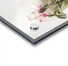 Laelia autumnalis xanthotropis from Reichenbachia Orchids 1888-1894 illustrated by Frederick Sander 1847-1920.  Acrylic print