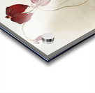 Masdevallia harryana splendens from Reichenbachia Orchids 1888-1894 illustrated by Frederick Sander 1847-1920.  Acrylic print