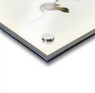 Western Acanthiza Acanthiza apicalis illustrated by Elizabeth Gould 1804–1841 for John Gould’s 1804-1881 Birds of Australia  Acrylic print