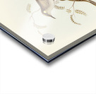 Yellow-spotted Honey-eater Ptilotis notata illustrated by Elizabeth Gould 1804–1841 for John Gould’s 1804-1881 Birds of Australia  Acrylic print