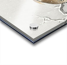 Bohemian bird on snowy branch 1900 - 1930 by Ohara Koson 1877-1945. Acrylic print