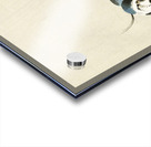 Lapwing on tree stump 1900 - 1930 by Ohara Koson 1877-1945. Acrylic print