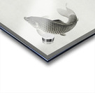 Three carps 1877-1945 by Ohara Koson 1877-1945. Acrylic print