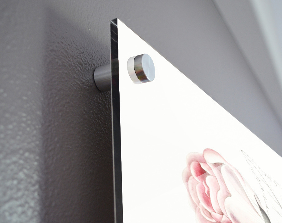 The ruga rose from Edwards Botanical Register 1829-1847  by Sydenham Edwards John Lindley and James Ridgway. Acrylic print of