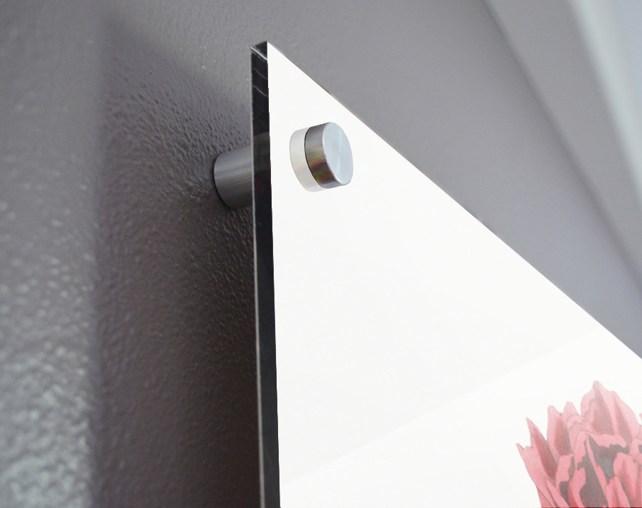 Potts Chinese peony from Edwards Botanical Register 1829-1847  by Sydenham Edwards John Lindley and James Ridgway. Acrylic print of