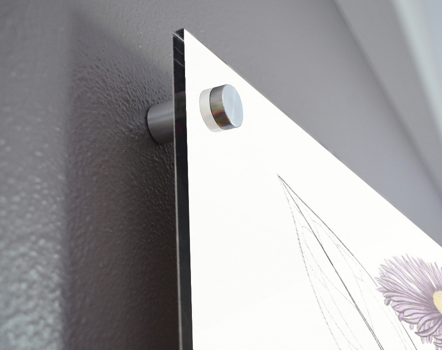 Shewy stenactis from Edwards Botanical Register 1829-1847  by Sydenham Edwards John Lindley and James Ridgway. Acrylic print of