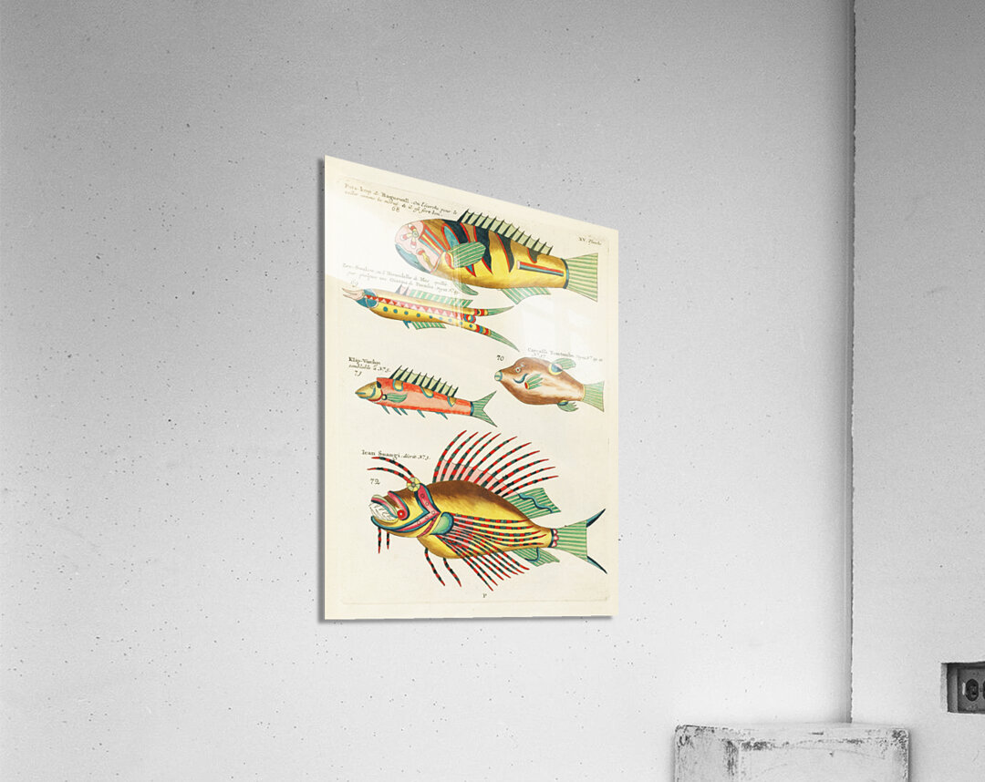 Colourful and surreal illustrations of fishes found in Moluccas Indonesia and the East Indies by Louis Renard 1678 -1746 from Histoire naturelle des plus rares curiositez de la mer des Indes 1754. Acrylic Print