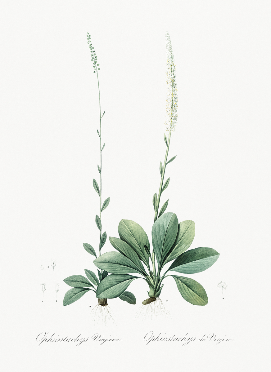 Impression de cadre personnalisé