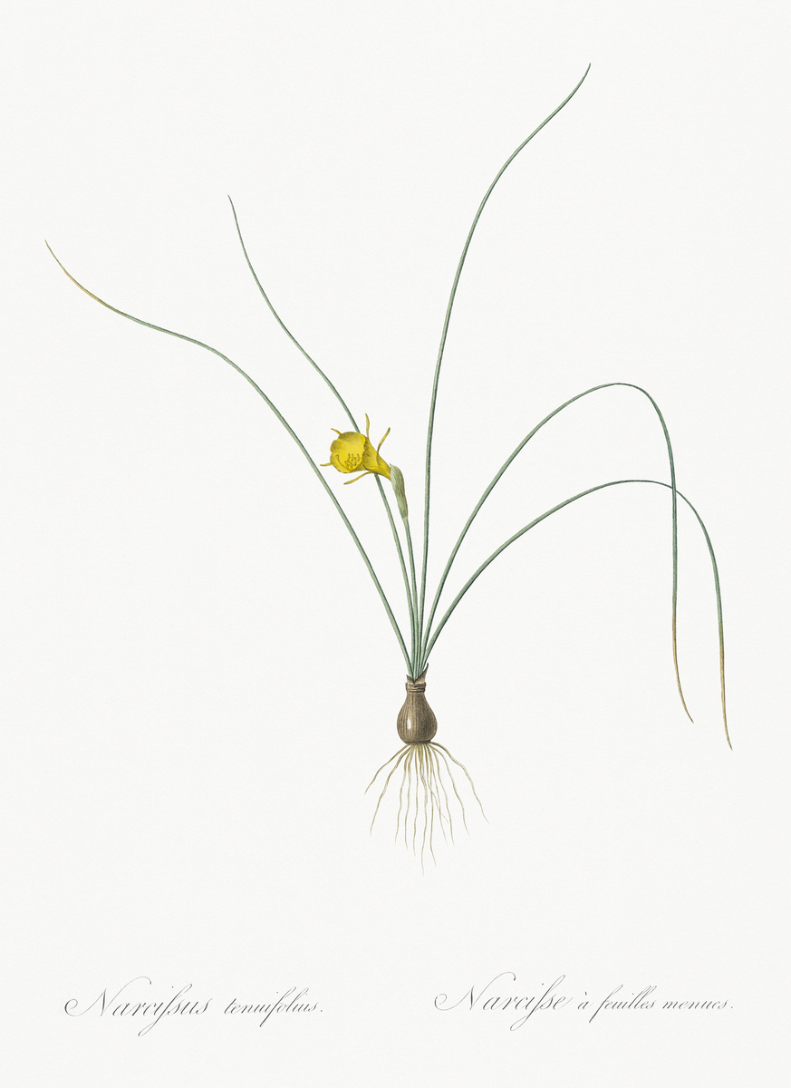 Impression de cadre personnalisé