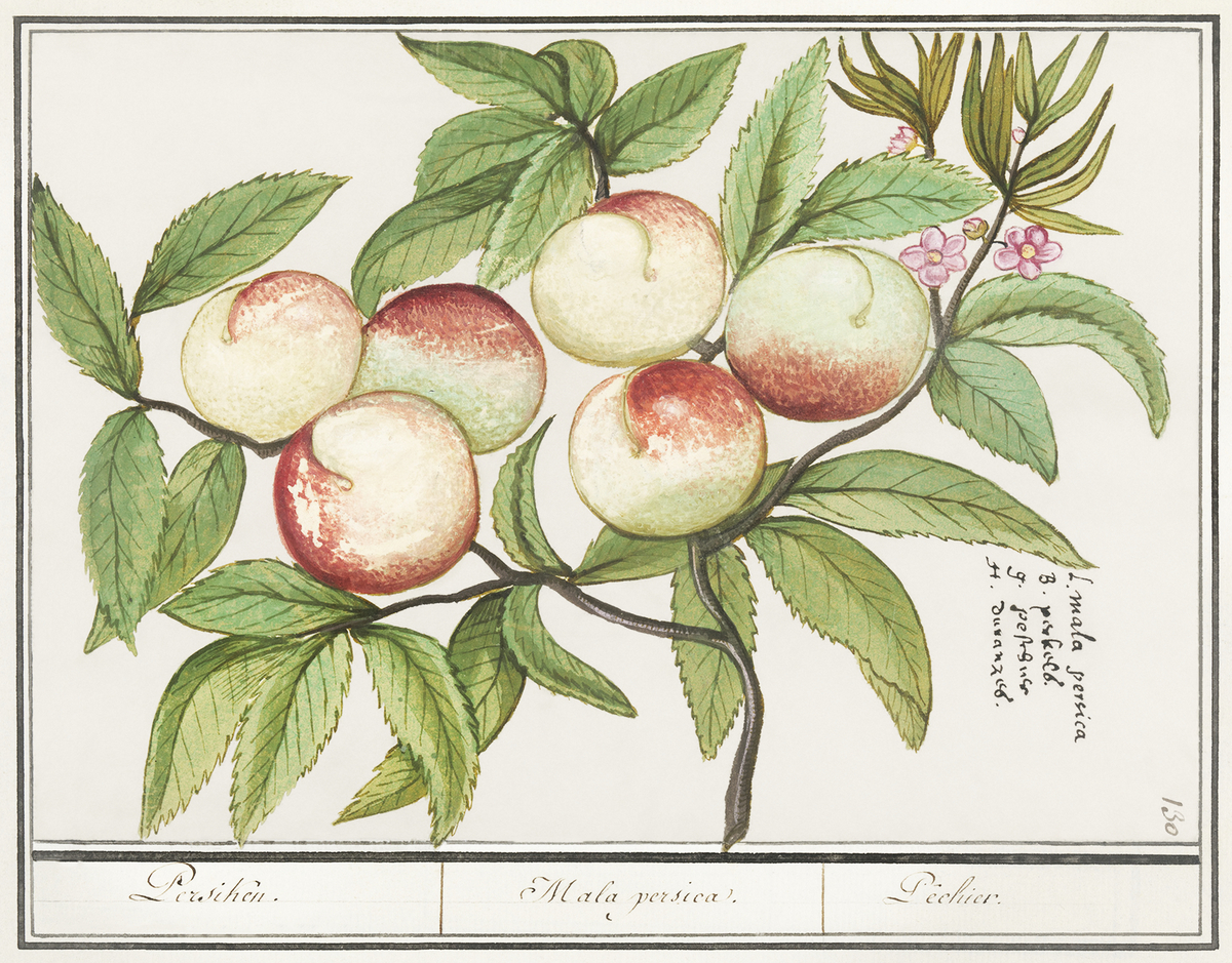 Impression de cadre personnalisé