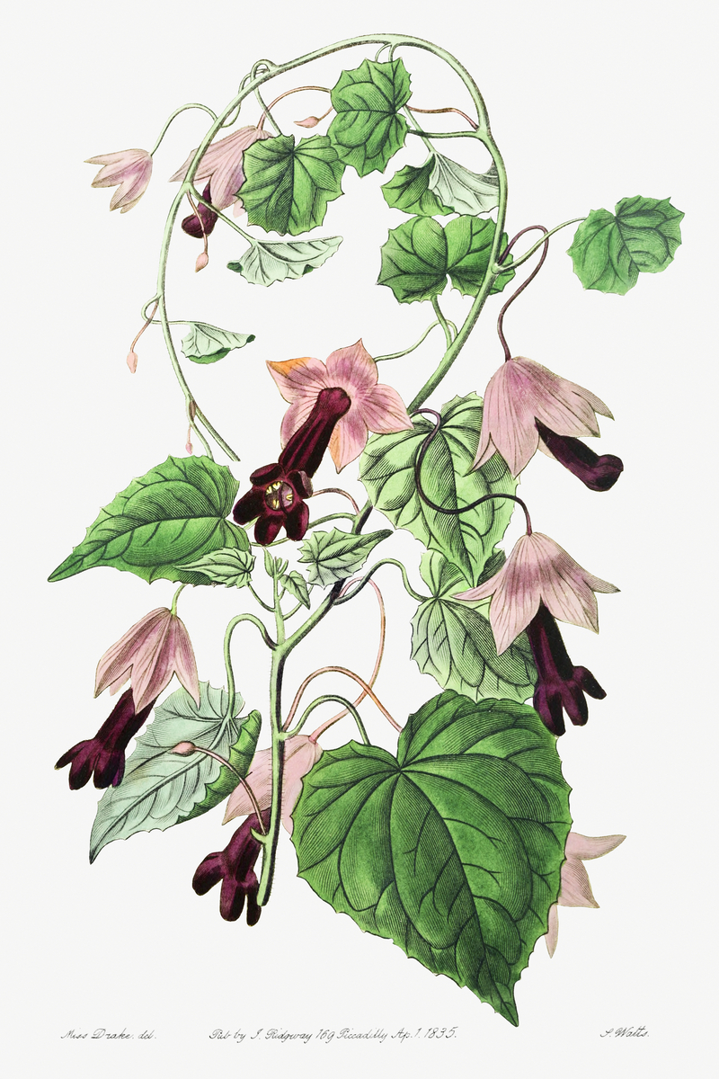 Impression de cadre personnalisé