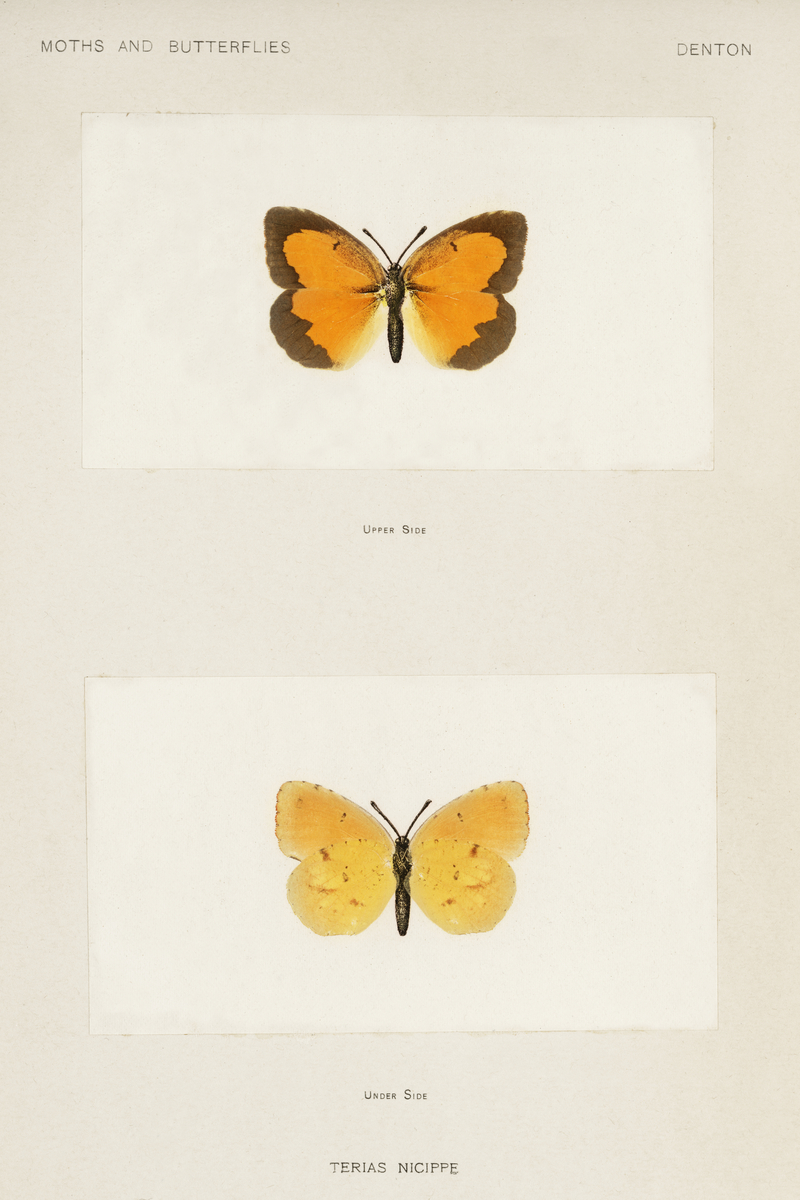 Impression de cadre personnalisé