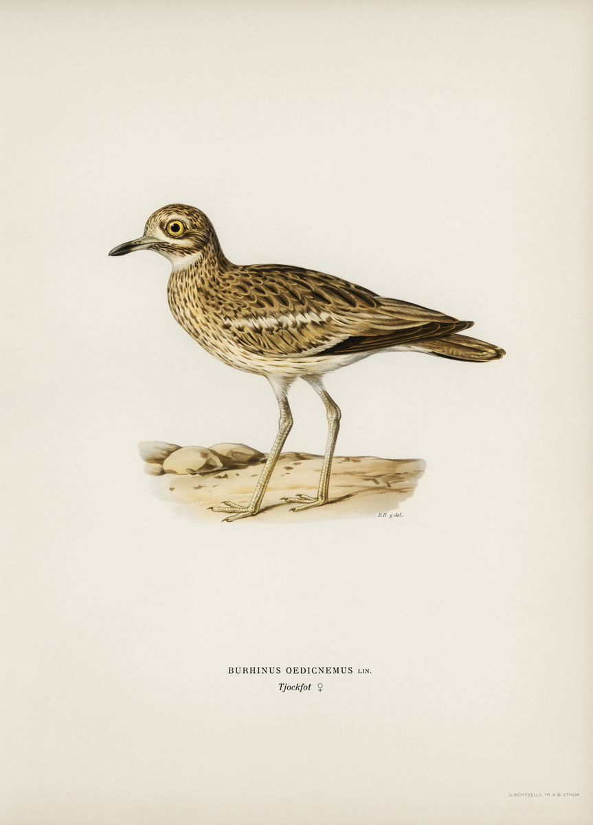 Impression de cadre personnalisé