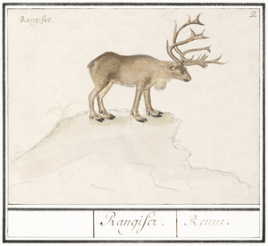 Reindeer in vintage style