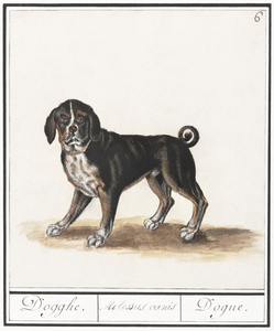 Dog in vintage style