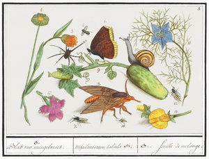 Nature ensemble in vintage style