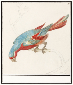 Parrot in vintage style