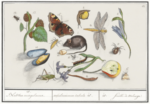 Nature ensemble in vintage style