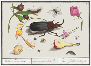 Nature ensemble in vintage style