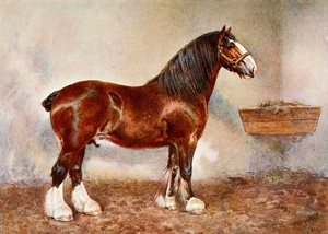 Clydesdale Stallion Prince of Albion Frank Babbage English 1858–1916