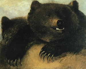 Weapons and Physiognomy of the Grizzly Bear 1846-1848