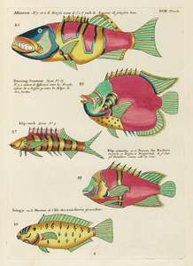 Colourful and surreal illustrations of fishes found in Moluccas Indonesia and the East Indies by Louis Renard 1678 -1746 from Histoire naturelle des plus rares curiositez de la mer des Indes 1754.