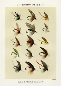 Trout Flies 