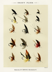 Trout Flies 