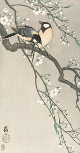 Tits on Cherry Branch 1900-1910 by Ohara Koson 1877-1945