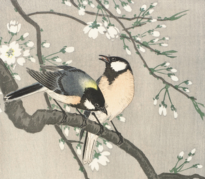 Tits on Cherry Branch 1900-1910 by Ohara Koson 1877-1945