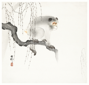 Monkey on a tree branch 1900-1930 by Ohara Koson 1877-1945.